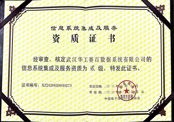 以數為翼，智聯未來——我們的信息系統集成服務
